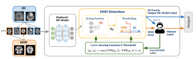 OOD Detection Framework